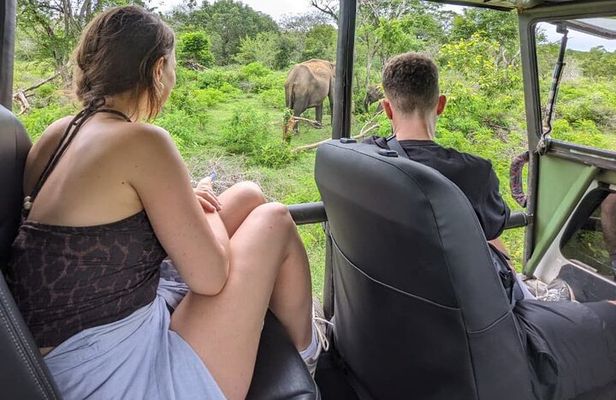 Yala National Park Safari Tours 