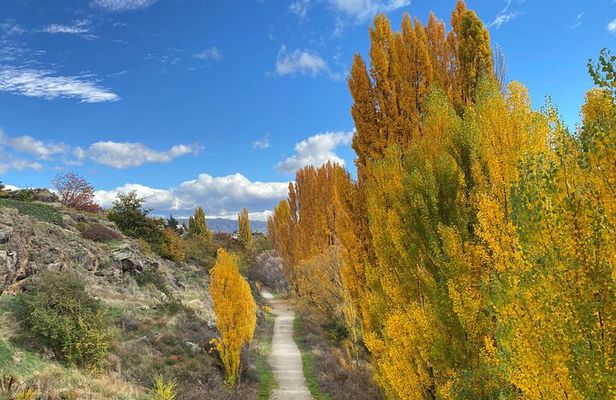 Highlights of the Otago Rail Trail: all-inclusive eBike Tour