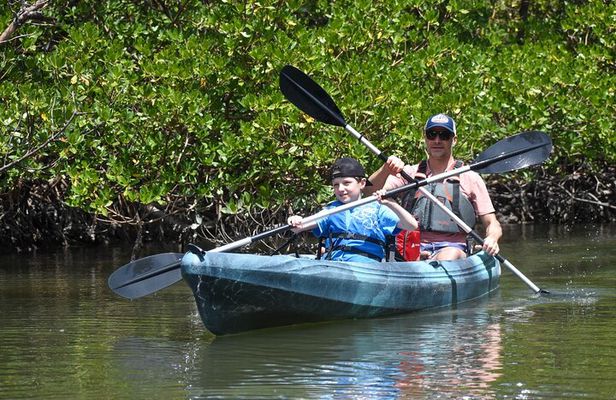Heart of Rookery Bay Kayak Tour
