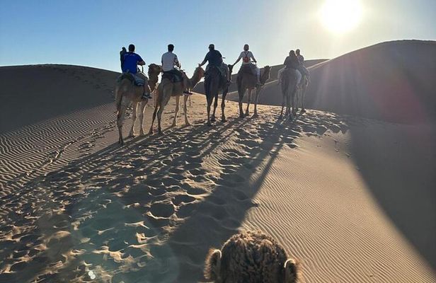 Overnight Escape: Foum Zguid to Sands of Erg Chigaga