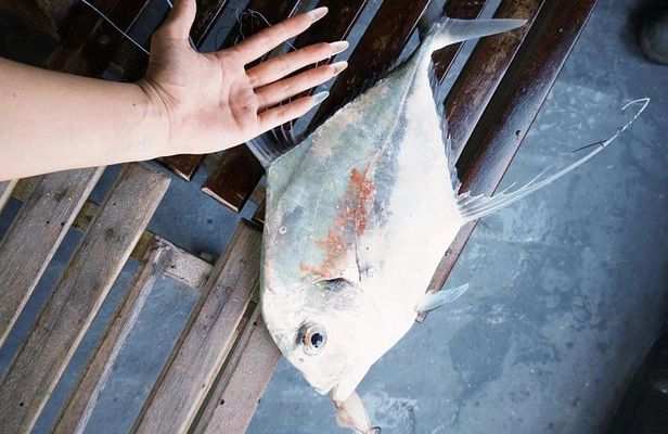 Phu Quoc Offshore Fishing Tour