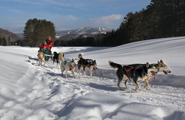 Dogsled Diable Adventure in Mont-Tremblant