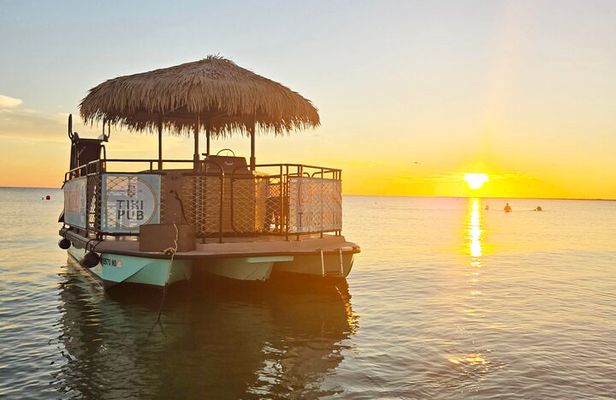 Fort Myers: Tiki Pub VIP Private Dolphin & Sunset Cruise