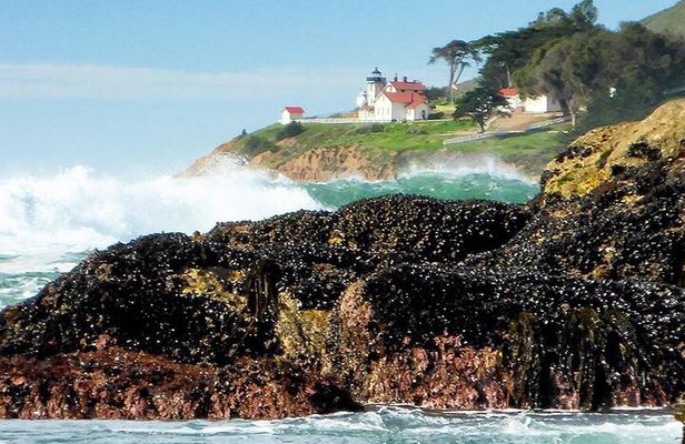Coastal Hiking Adventures on California's Central Coast