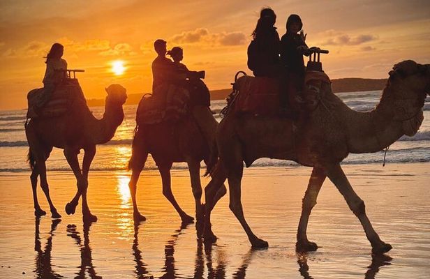 Camel Ride with khalid in Essaouira