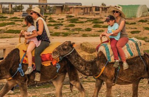 Marrakech Day Trip: Atlas Mountains, Waterfalls & Camel Ride