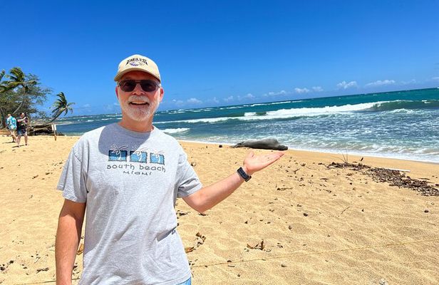 Oahu Circle Island Tour Great for Solo Travelers and Small Groups