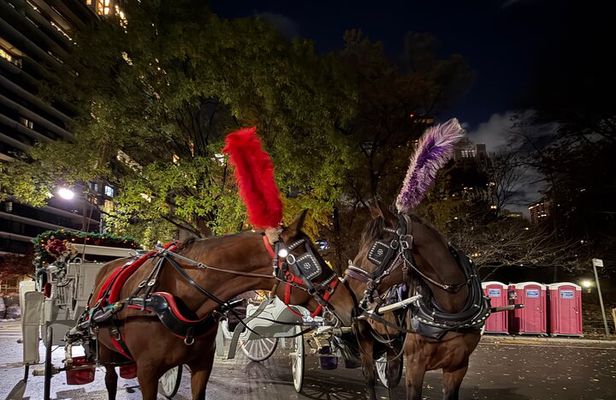 Central Park Carriage Ride NYC’s Timeless Tour