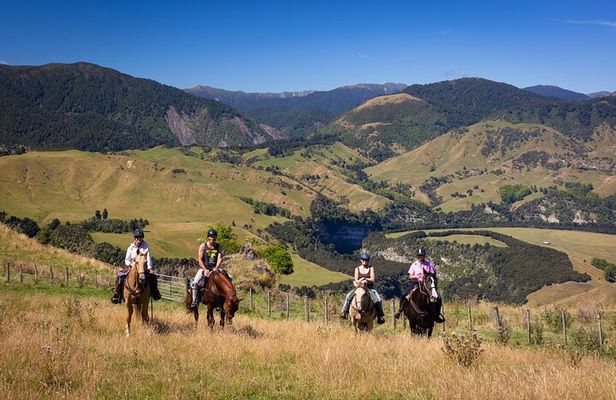 High Country Enchantment Full-Day Horse Trek
