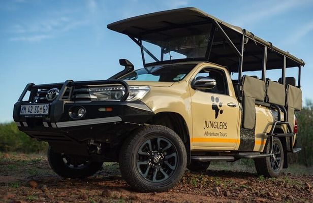 Private Full Day Big 5 Safari in Kruger NP from Hoedspruit