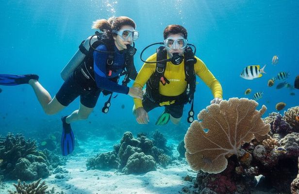 2 dives on coral reefs - no prior experience required 