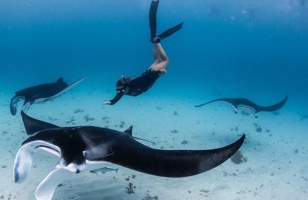 Nusa Penida One Day Trip with Snorkeling - All Inclusive