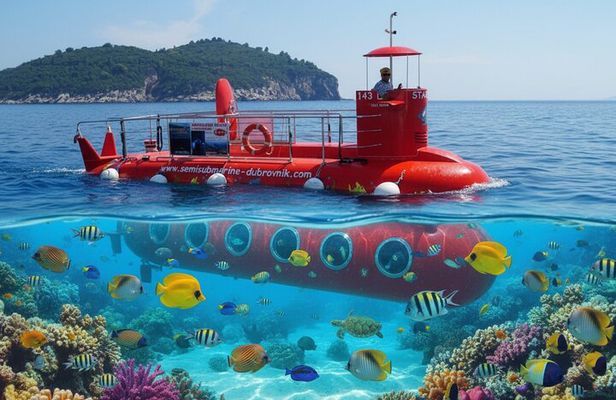 Havelock Coral Experience: Semi-Submarine and Radhanagar Beach