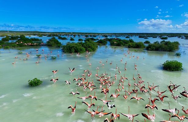 North and Middle Caicos Island Private Tour
