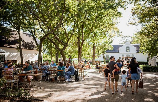 Family Oriented Cape Winelands and Vineyard Tour