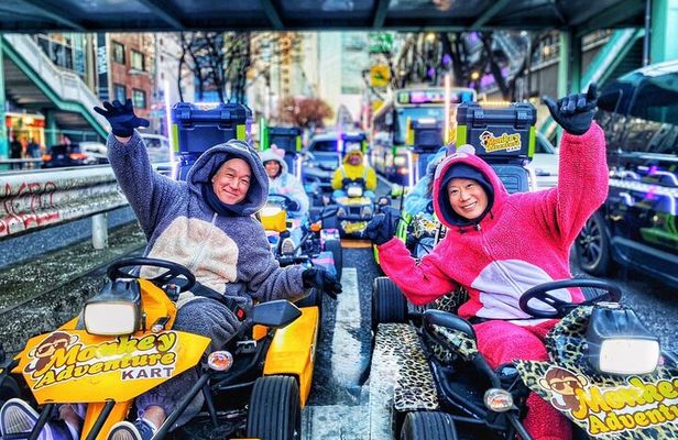 Premium Tokyo Go-Kart Tour from Shibuya to Shinjuku *IDP Required