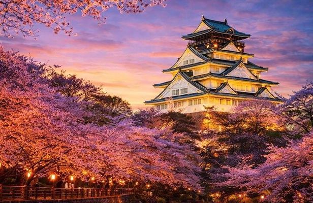 VIP Osaka and Nara Attractive Customized Pvt. One Day Tour