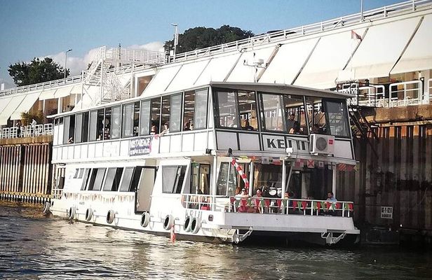 Belgrade Panoramic Cruise Along the Sava and Danube Rivers