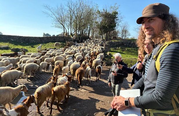 Hike Along the Ancient Appian Way
