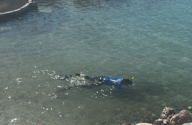 Coral Nursery Snorkeling Eco Adventure in La Paz