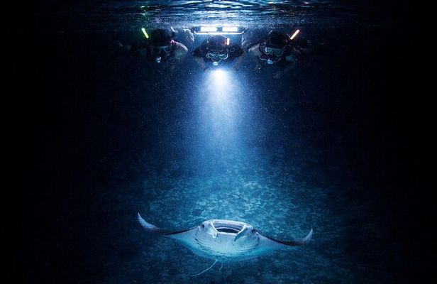 Manta Ray Night Snorkel Adventure in Kailua-Kona