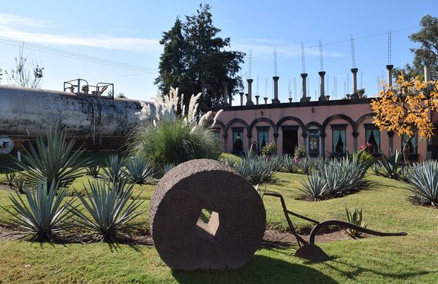 Premium Classic Tequila Experience in Cava de Oro