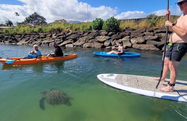 Guided Paddleboard and Kayak Tour on the Anahulu River