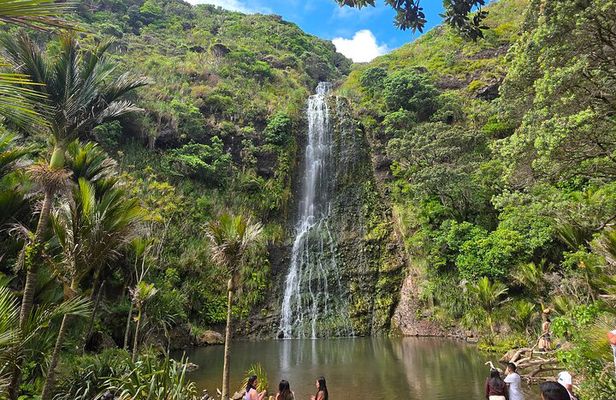 Private Auckland West Coast Tour Piha Beach and Karekare Falls 