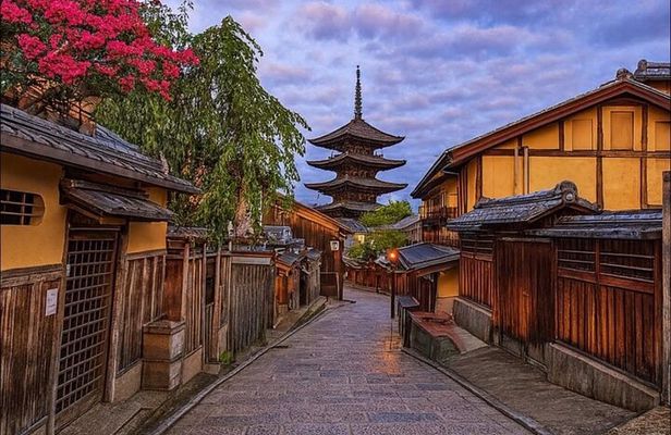  VIP Kyoto and Nara Customised Charming Private Day Tour 