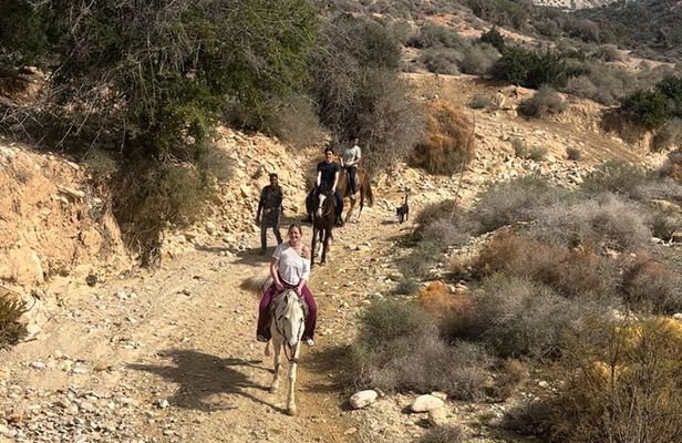 Taghazout: Private Beach and Mountain Ride