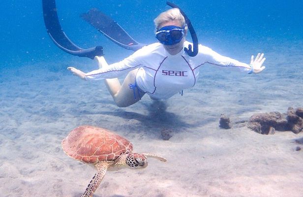 La Jolla Cove Guided Snorkeling Tour with Sea Lions and Sea Caves
