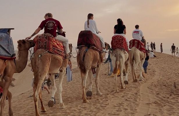 Timlalin Dunes Package: Camel Ride, Canyon Visit & Sunset Tea