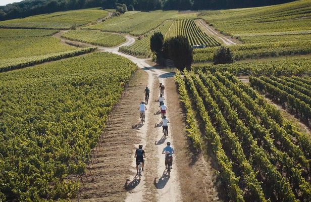 Reims: day in Champagne by electric bike with tastings