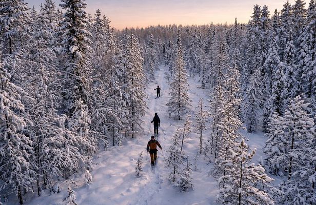 Guided Daytime Ski Adventure: Explore Private Trails by Rovaniemi