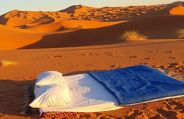 Open sky camping experience 