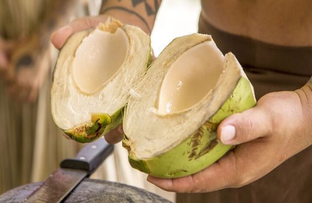 Underwater Observatory & Coconut Experience