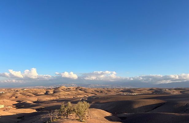 Authentic Atlas & Lalla Takerkoust & Agafay Desert Tour
