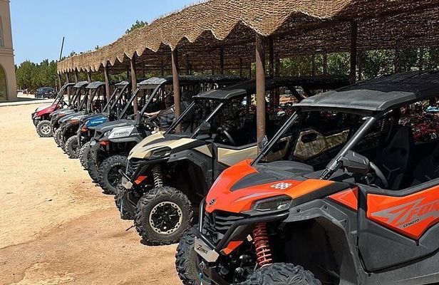 Buggy Makadi Desert Trip