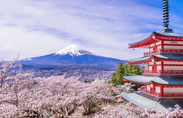 From Tokyo: Mt. Fuji 6 Attractions: Lake Kawaguchi, Oshino Hakkai