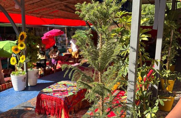 Atlas Mountains and Ourika Valley Day Trip from Marrakech