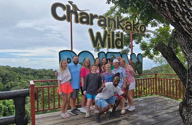 Roatan chocolate and rum company tour with optional stops
