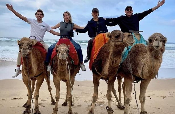 Private Full Day Tangier Tour – Local Guide & Port Pickup