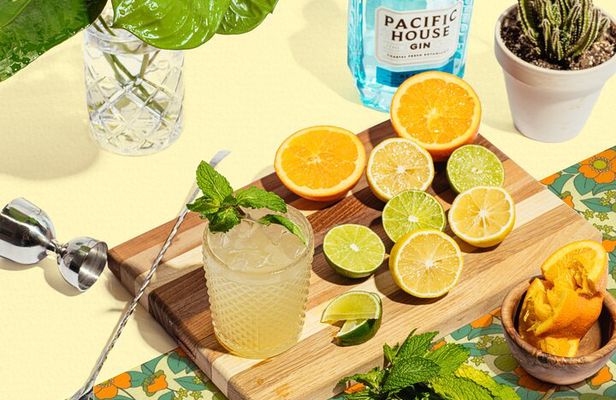 San Francisco Gin Cocktail Class Views and Gin History