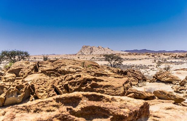 Namib Naukluft National Park Landscape and Birding Day Tour