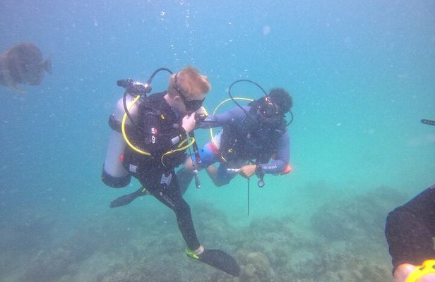 PADI Discover Scuba Diving Eden Islands First Dive