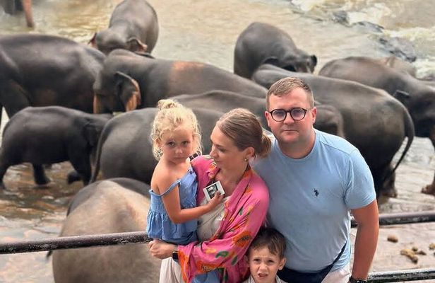 Luxury Day Trip from Colombo to Pinnawala and Kandy Highlights