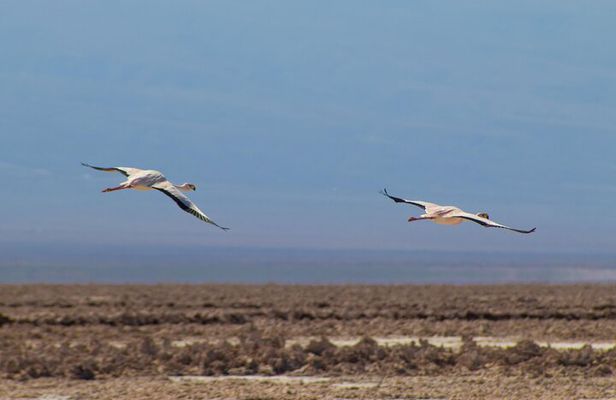 Tour of the Red Stones and High Plains in the Andes