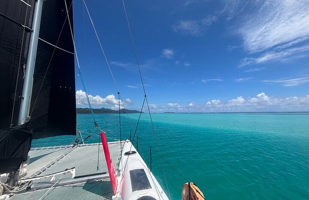 Half day catamaran sailing in the Sailinity Lagoon