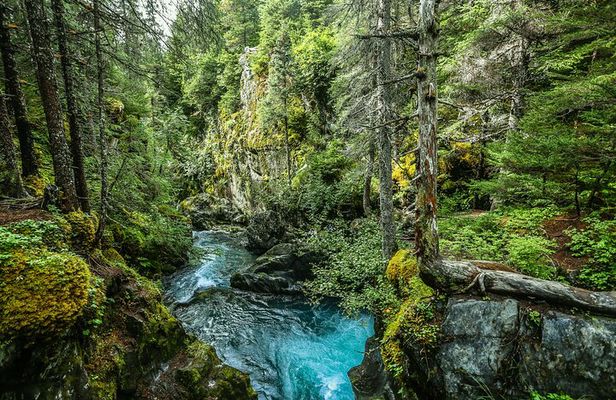 Anchorage–Homer Sterling Highway Self-Guided Driving Audio Tour