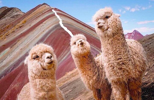 5-Day Tour: Machu Picchu, Sacred Valley and Mountain of Colors